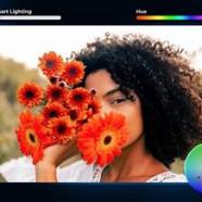 images (Custom).jpg