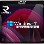win 11 gamer.png