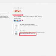 Microsoft Office 2024 Version 2403 sc.png