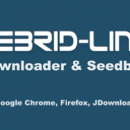 Debrid-Link.png