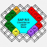 SAP on HANA Complete Guide ( Basics to Advance).png
