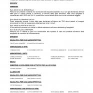 CU53-2024-2025-del-28.11.2024-12-18_page-0004.jpg