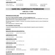 CU68-2024-2025-del-09.01.2025-10-17_page-0004.jpg
