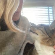 Angelic Animal Communication.jpg