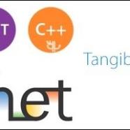 Tangible Software Solutions.jpg