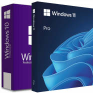 Windows 11 (No TPM Required) & Windows 10.png