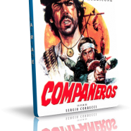 companeros.png