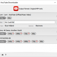 MediaHuman YouTube Downloader screen.png