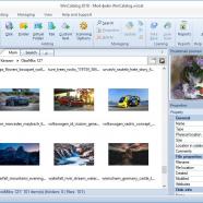 WinCatalog screen.jpg