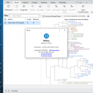 NVivo Enterprise 20 sc.png