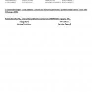 comunicato-ufficiale-n.-101-2020-2021_page-0007.jpg