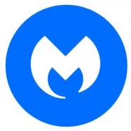 m1.JPG