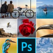 Photoshop Beginner to Mastery - Photo & Design with AI.jpg