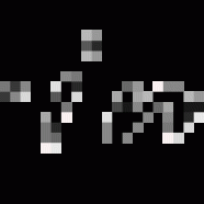 mod-firma.gif