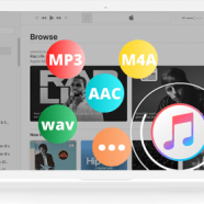 Pazu Apple Music Converter 1.png