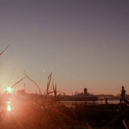 vlcsnap-2019-08-17-18h01m21s537.png