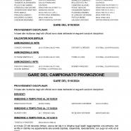 CU36-2024-2025-del-10.10.2024-7-12_page-0003.jpg