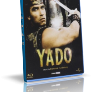 yado.png
