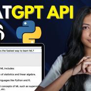 ChatGPT Accelerated Python Complete Python Guide.jpg