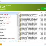 Glary Disk Cleaner screen.jpg