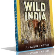 wild india mkv.png