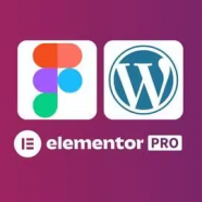 Custom Web Design Figma To Wordpress With Elementor Pro.png