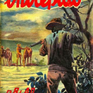 cover.png