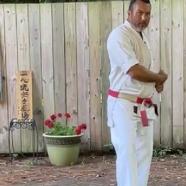 Dissect The Dissection Of Isshinryu Karate Kusanku Kata.jpg