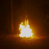 vlcsnap-2026-10-23-15h50m44s199.png