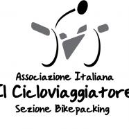 LogoAIIC-curves SBP2.jpg