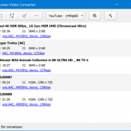MediaHuman Video Converter screen.png