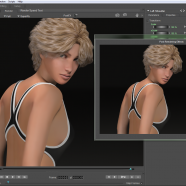 Bondware Poser Pro screen.png