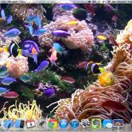 Aquarium Live HD screensaver sc.jpg