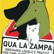 cover.png