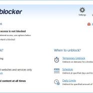 Blumentals Surfblocker screen.jpg