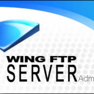 Wing FTP Server .png