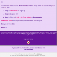 bingo.PNG