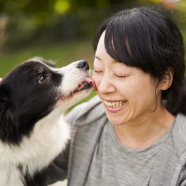 Pets Photography - Make Your Passion An Extra Income.png