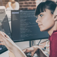 Software engineering From Developer to Tech Lead.png