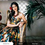 Digiarty AIArty Image Matting sc.jpg