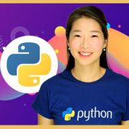 Professional Python Developer Bootcamp 2023.jpg