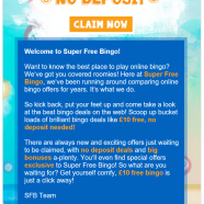 bingo.PNG