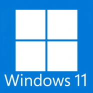Windows 11 Pro Lite.png