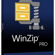 WinZip Pro.png