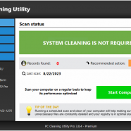 PC Cleaning Utility Pro sc.png