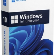 Windows 10 IoT Enterprise 22H2.png