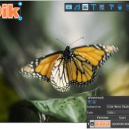 DIKDIK Video Kit screen.jpg
