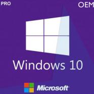 Windows 10 Pro OEM.jpg