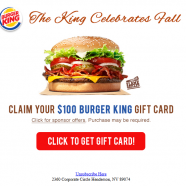 burgerking.PNG