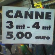 canne economiche.jpg